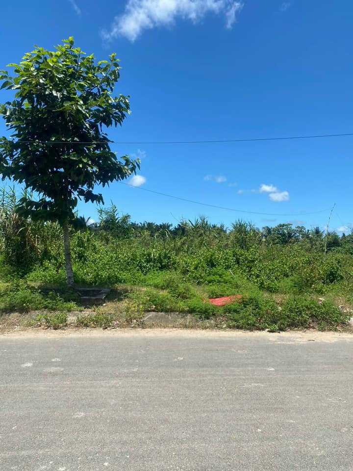 Bán nền đường B8 KDC Phú An, Phường Phú Thứ, Quận Cái Răng, TPCT.